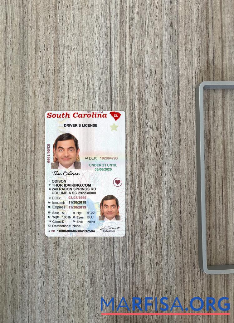 Printable USA South Carolina under 21 driving license photolook example